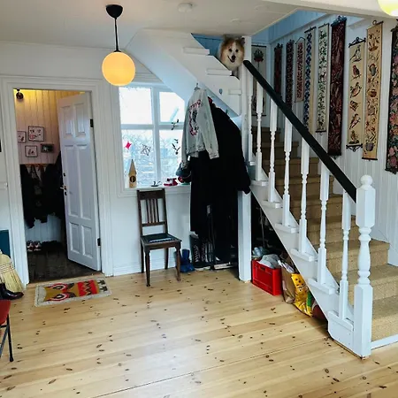 Cosy House In The Heart Of Downtown - Birta